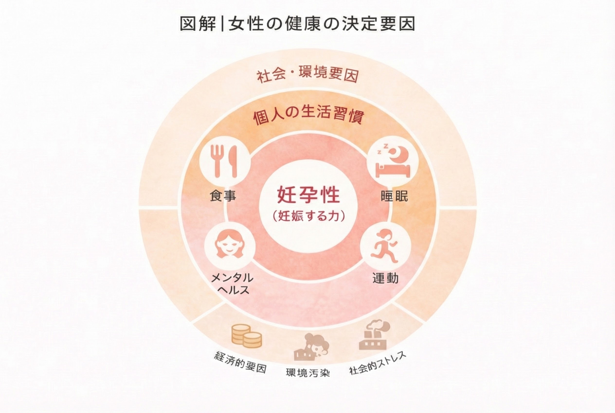 女性の健康の決定要因図